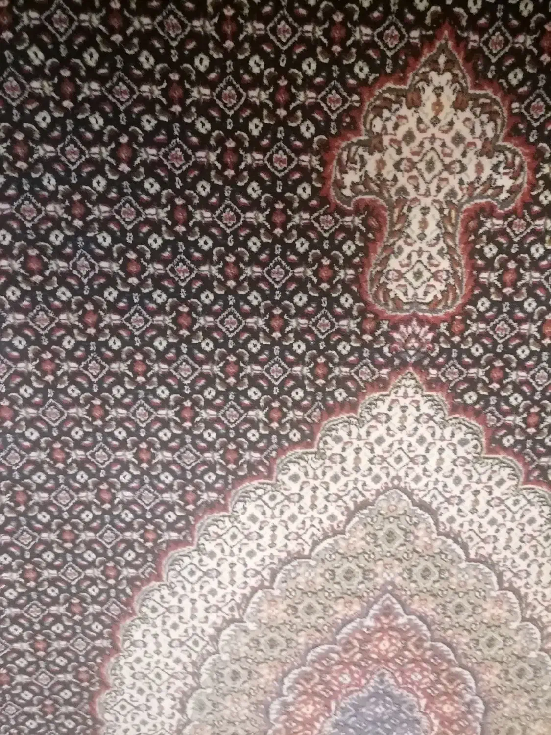 کناره 1/5در1/5|فرش|تهران, گمرک|دیوار