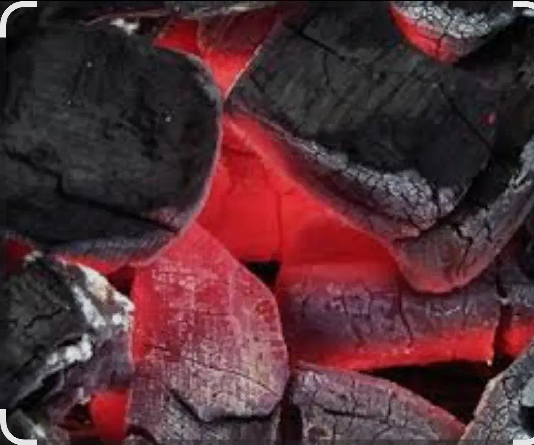 زغال|عمده‌فروشی|بیرجند, |دیوار