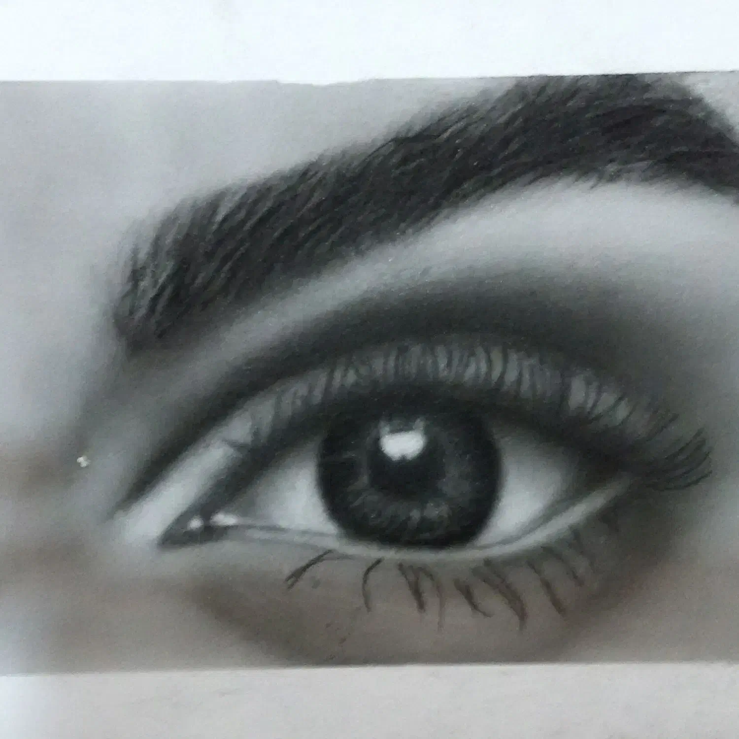 طراحی چهره(سیاه قلم)|تابلو، نقاشی، عکس|نسیمشهر, |دیوار