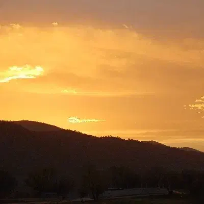 شناسنامه گمشده|اشیا|یاسوج, |دیوار