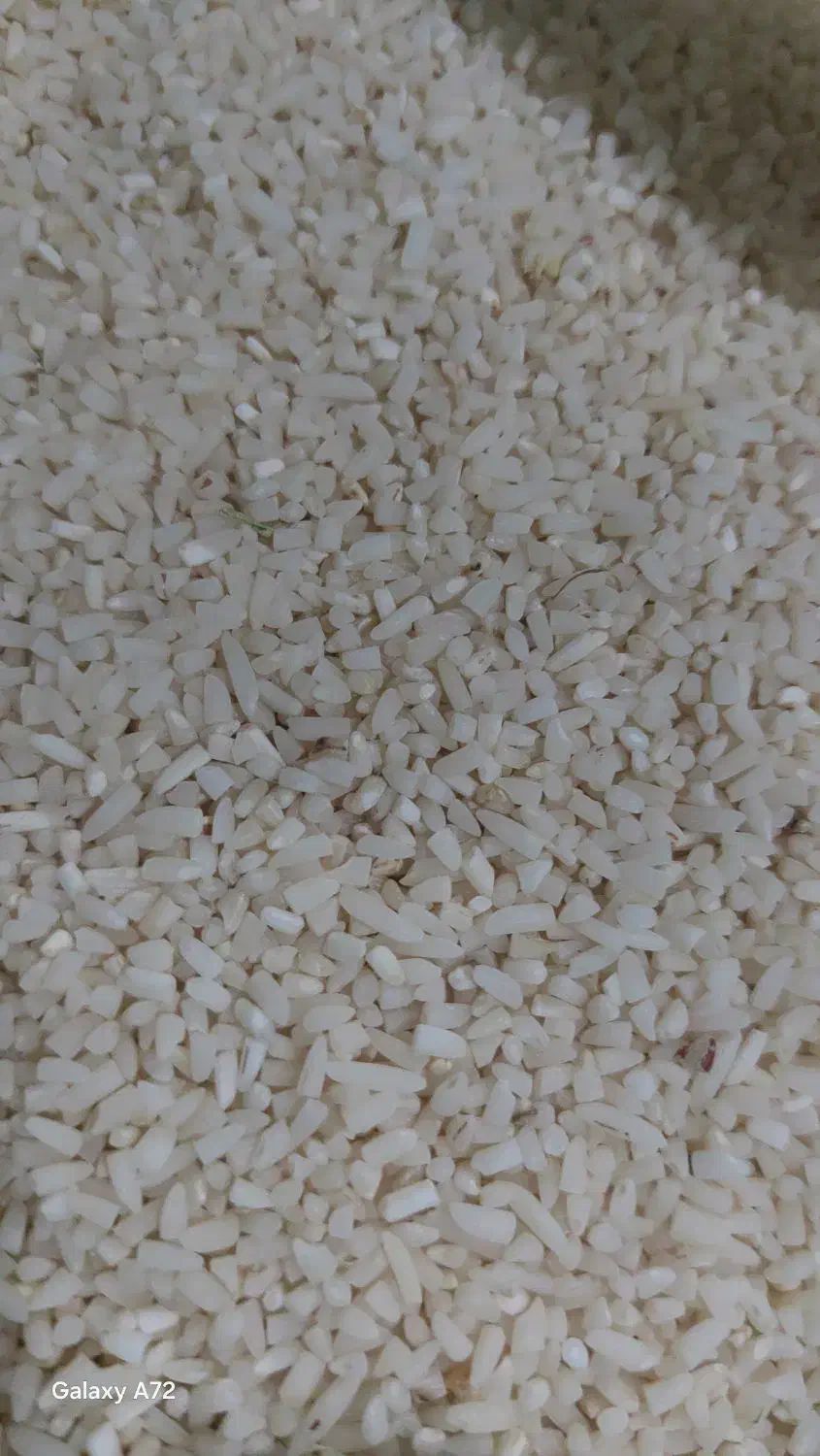 نیمه دانه هاشمی معطر|خوردنی و آشامیدنی|تهران, علم و صنعت|دیوار