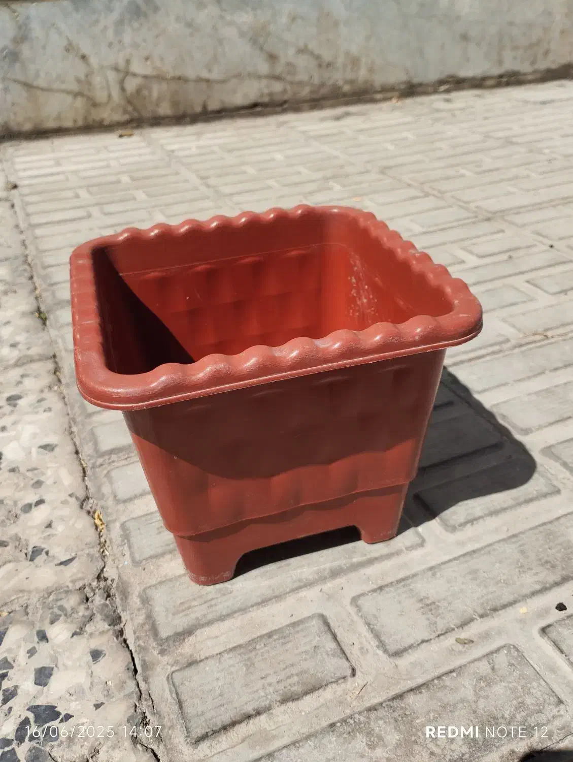 گلدان|گل و گیاه طبیعی|کرمان, |دیوار
