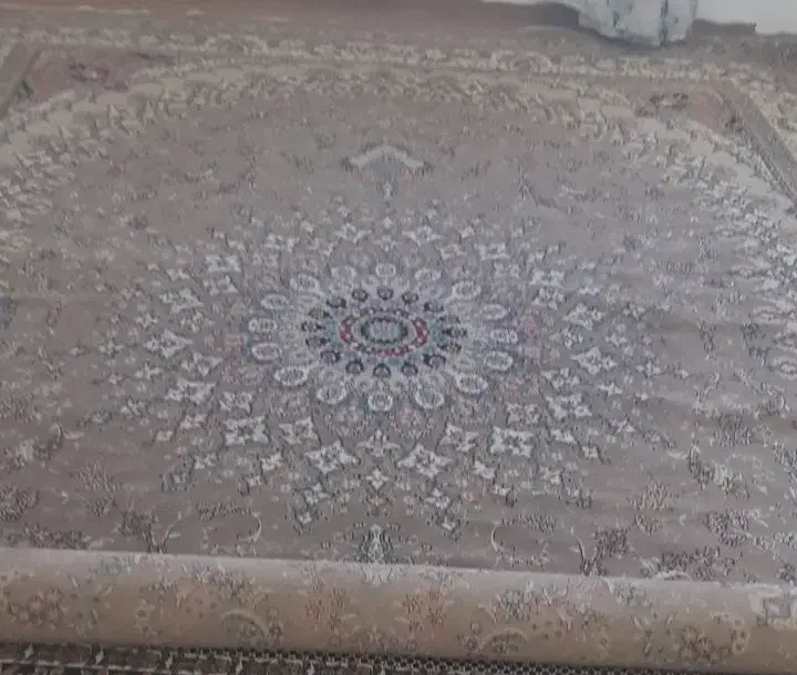 فرش ۱۲ متری گردویی سالم|فرش|هشتگرد, شهرک راه آهن|دیوار