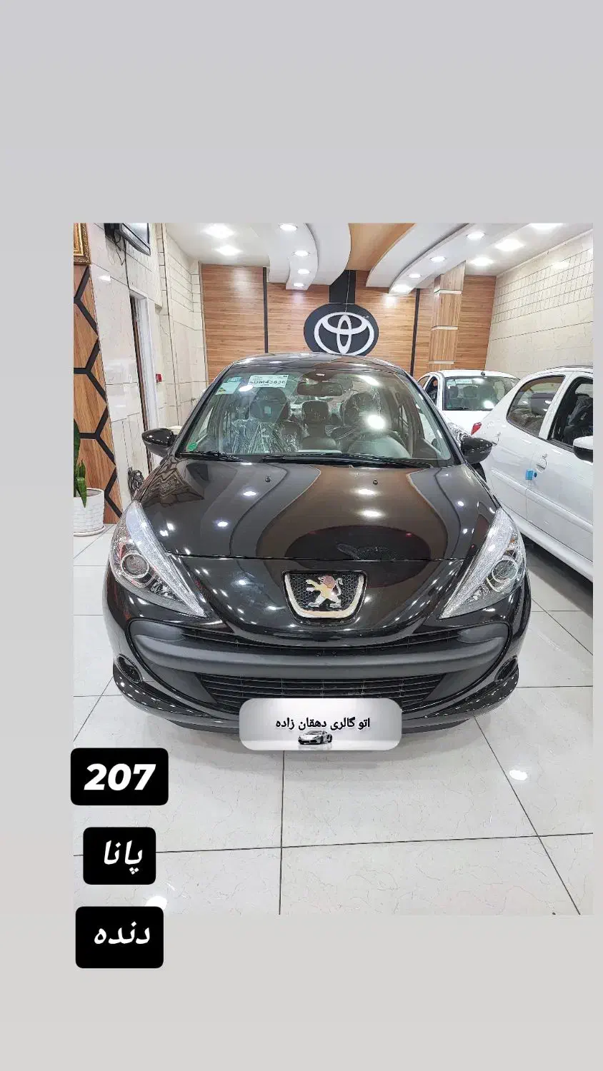 207 پانا tu5p مدل 1404|خودرو سواری و وانت|شیراز, فرهنگ شهر|دیوار