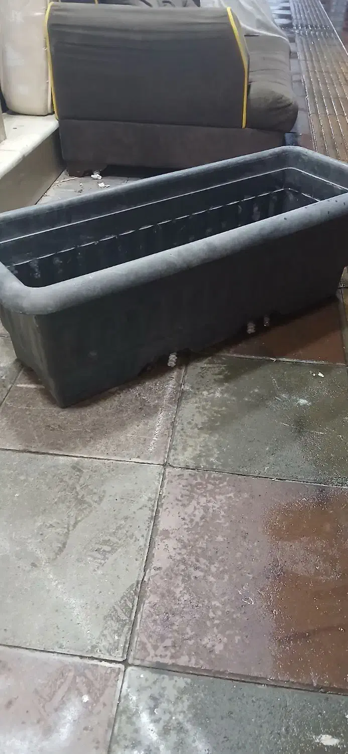 گلدان پلاستیک|گل و گیاه طبیعی|هشتگرد, هشتگرد قدیم|دیوار