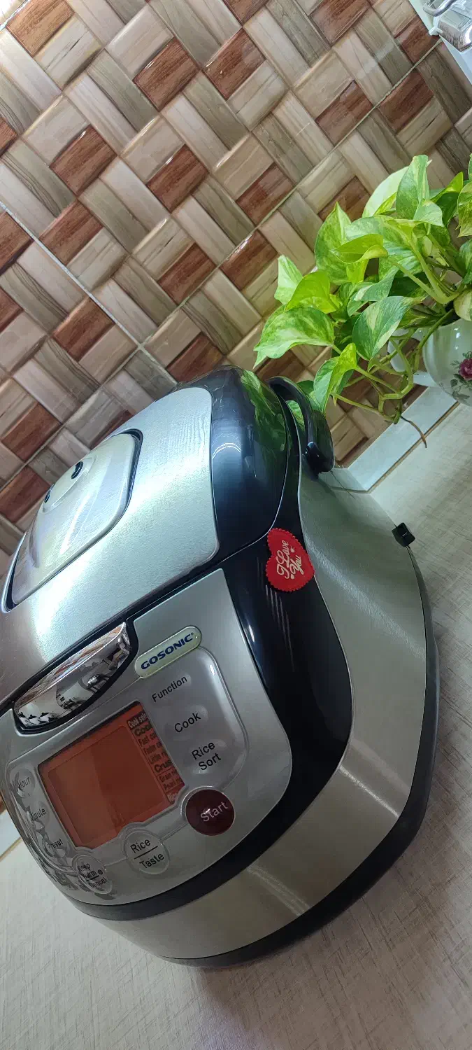 پلوپز آرام پز گاسونیک|اجاق گاز و لوازم برقی پختوپز|ملارد, |دیوار