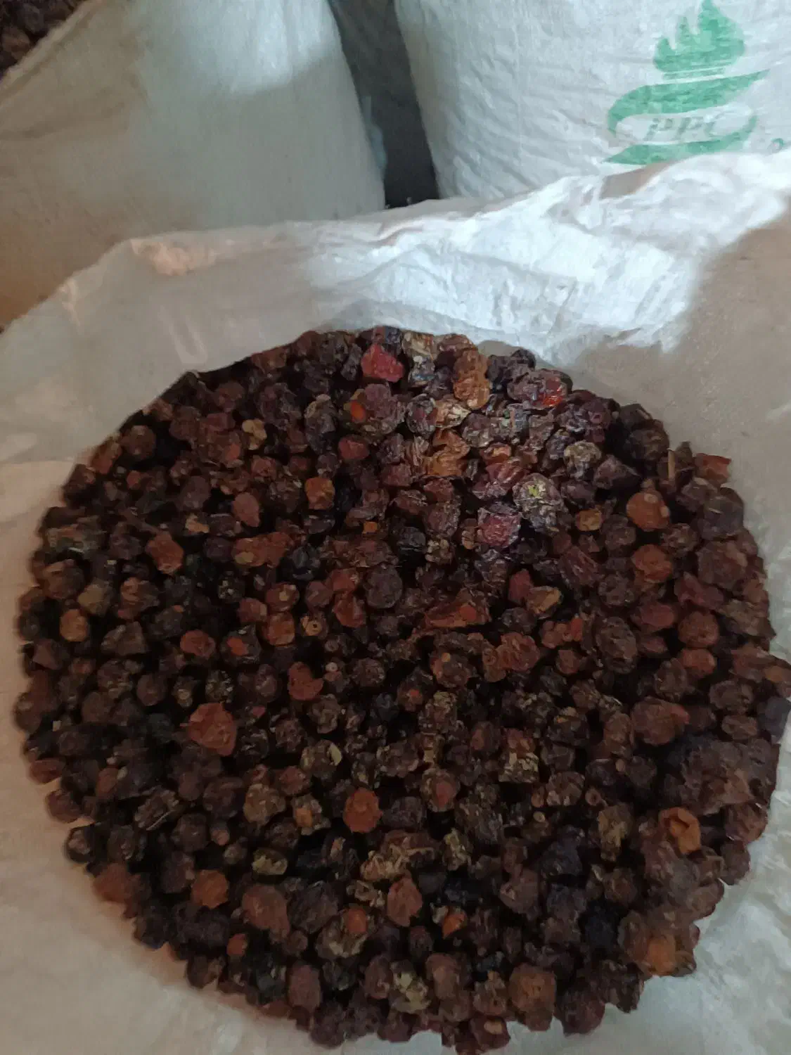 آلوچه و گیلاس|خوردنی و آشامیدنی|تهران, ائمه اطهار|دیوار