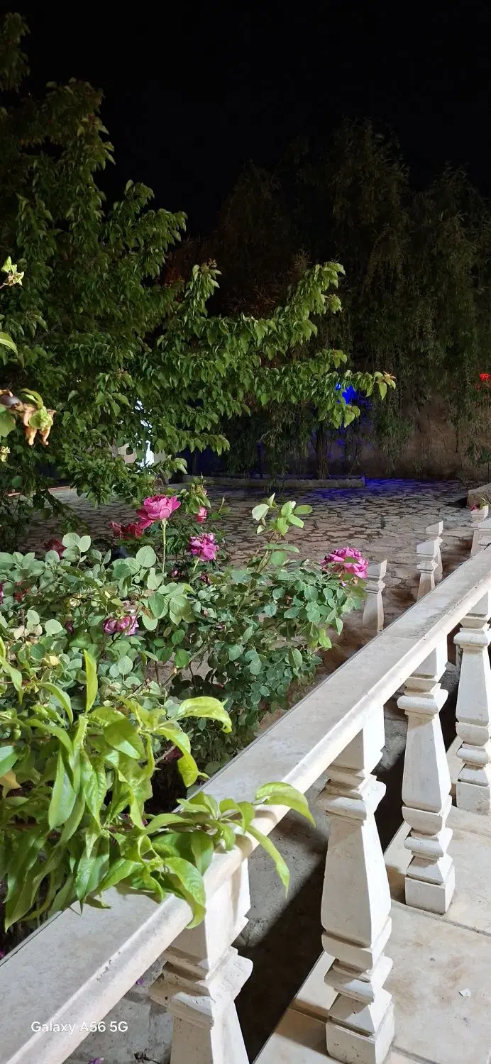 تصویر 3