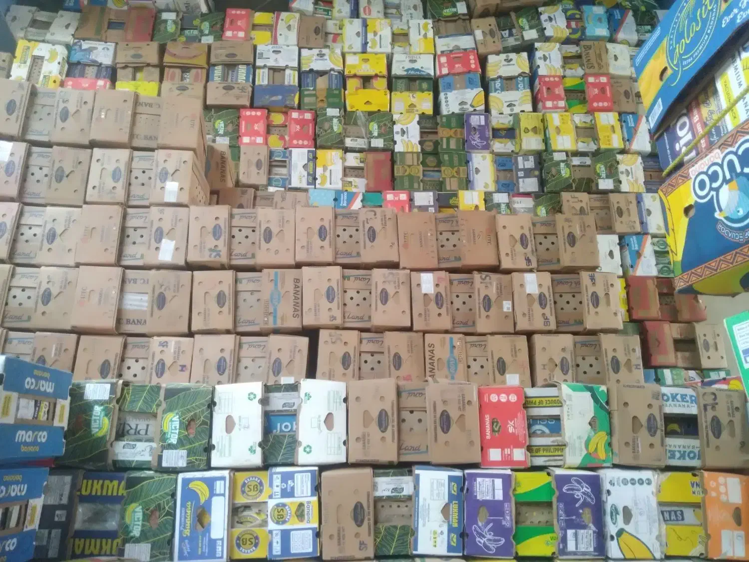 کارتون موز سبد کارتن انبه ضربه گیر روزنامه|عمدهفروشی|سنندج, |دیوار