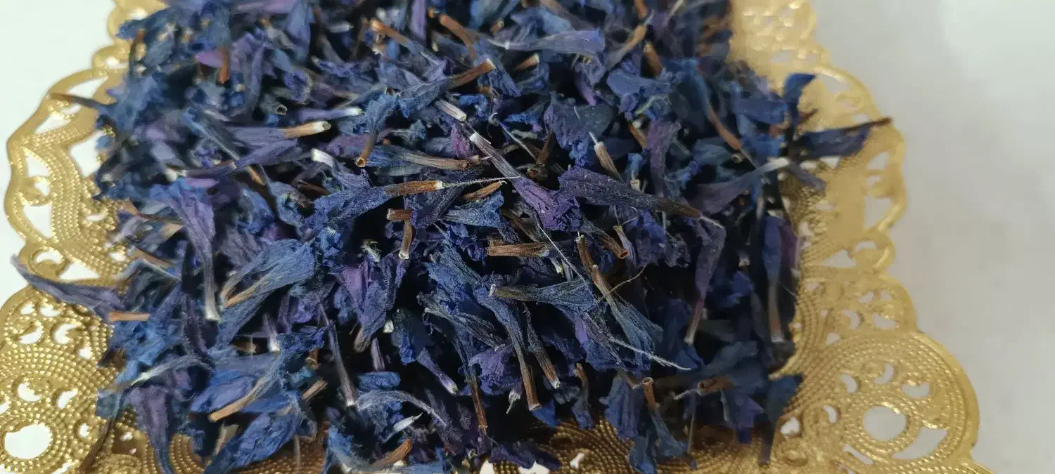 گل گاوزبان|خوردنی و آشامیدنی|قم, باغ شریفی|دیوار