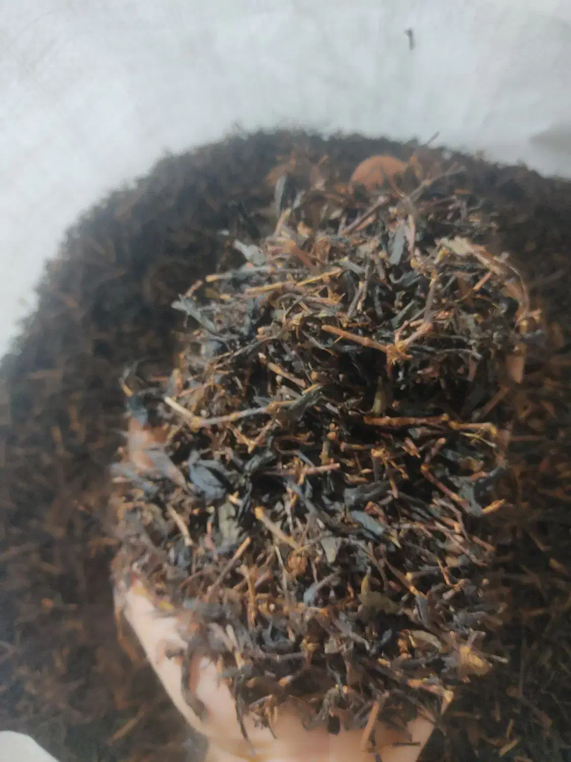 فروش انواع چای|فعالیت داوطلبانه|اطاقور, |دیوار