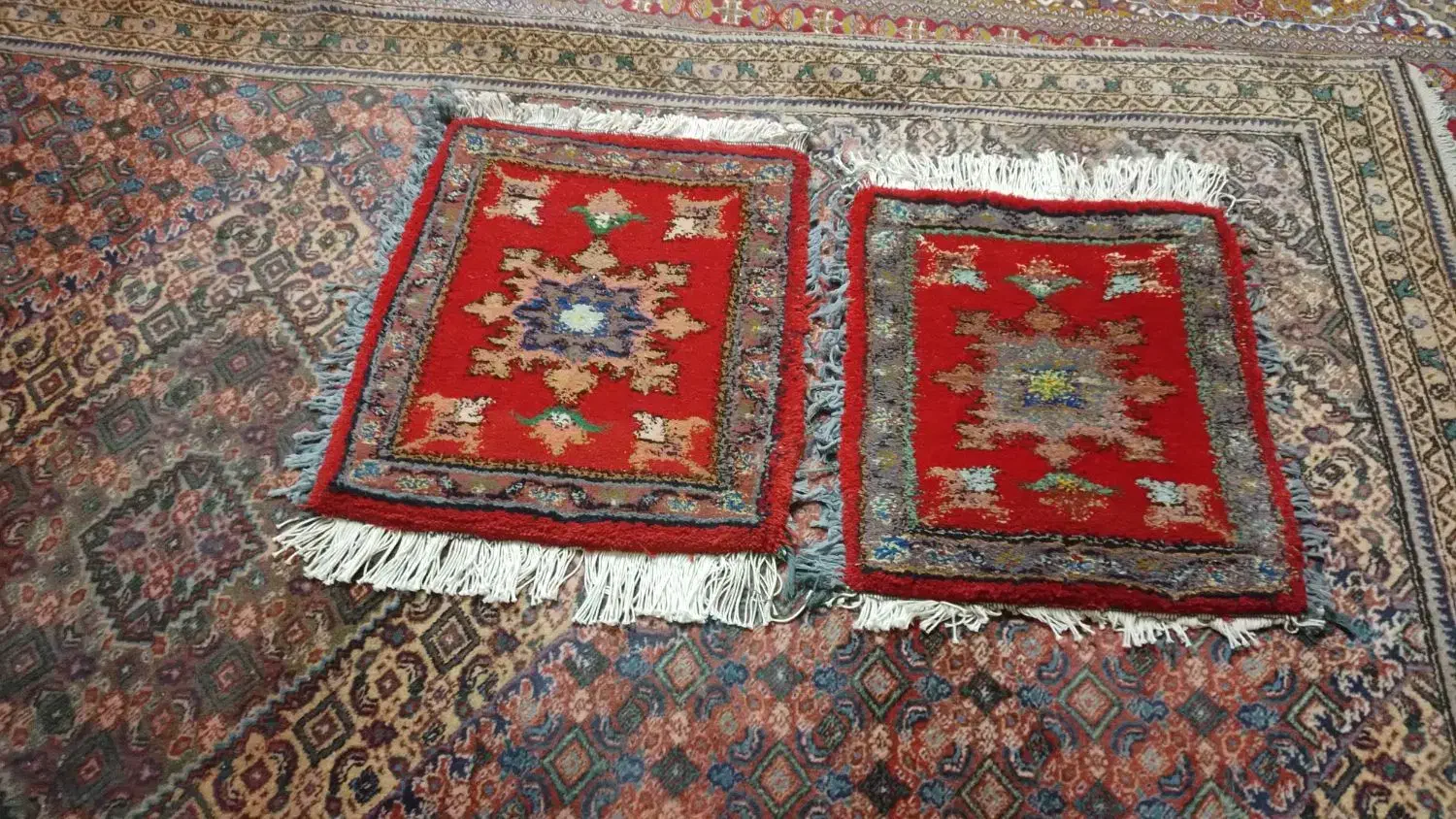 فرش ماشین|فرش|بناب, |دیوار