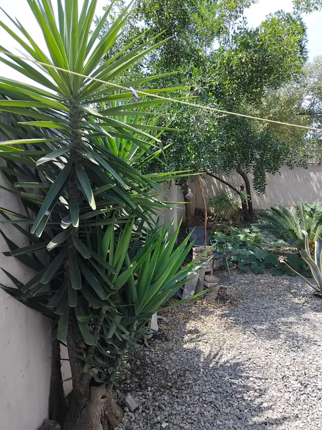 فروش خانه ستونی|فروش خانه و ویلا|زرگرشهر, |دیوار