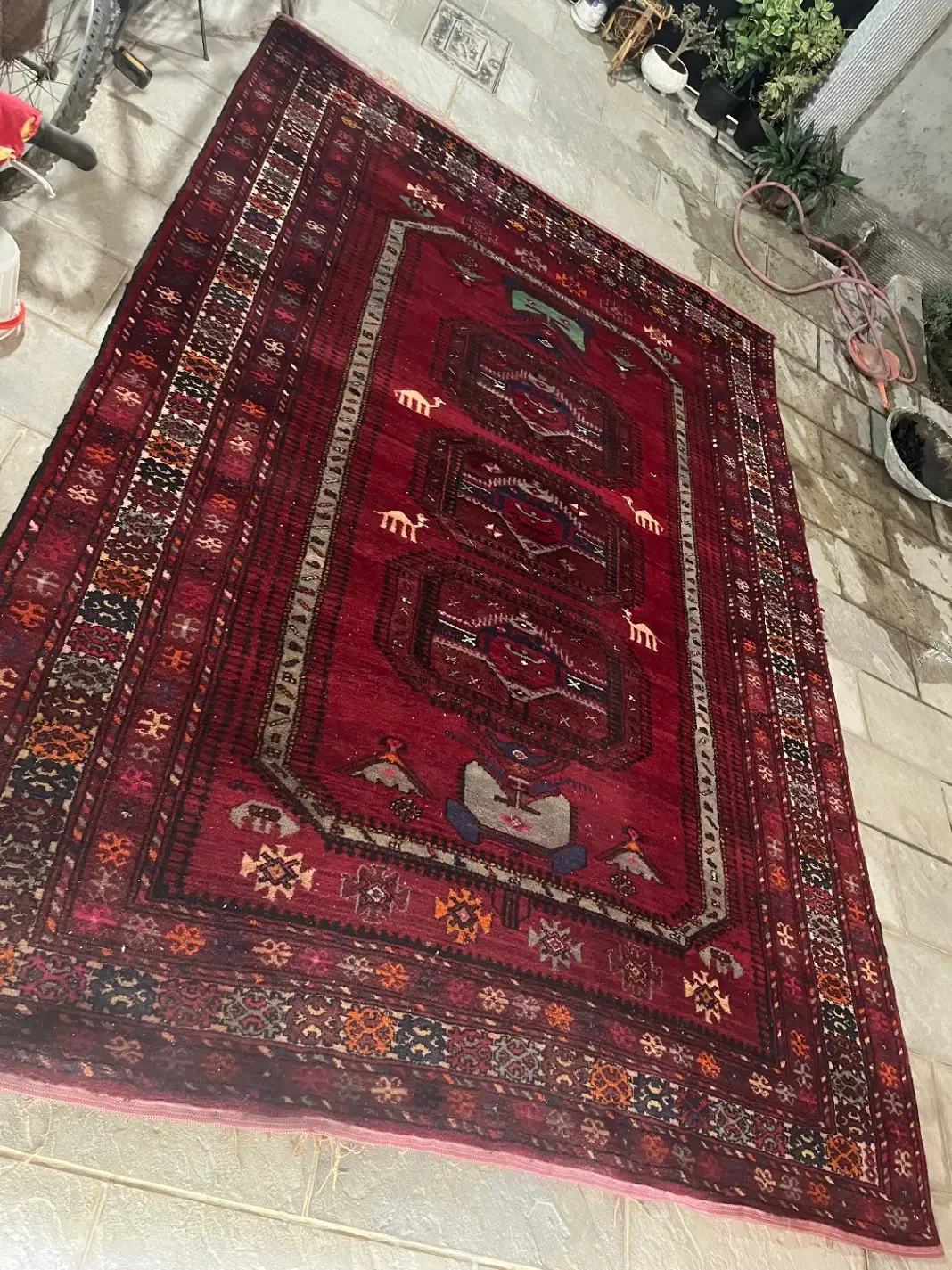 فرش دستبافت۶متری|فرش|مشهد, آبکوه|دیوار