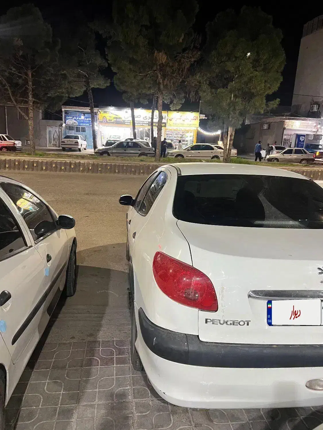 ۲۰۶‌v9|خودرو سواری و وانت|مشهد, عنصری|دیوار