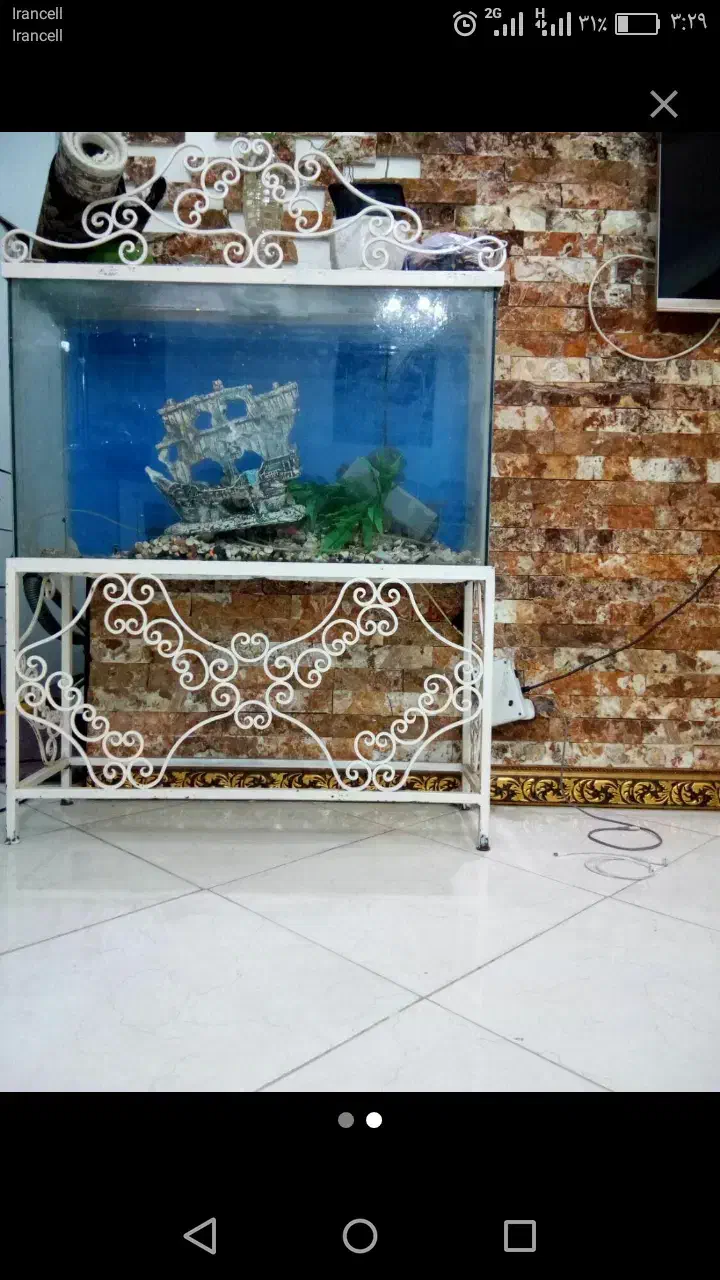 اکواریوم ماهی با تمام لوازم|ماهی|کهریزک, |دیوار