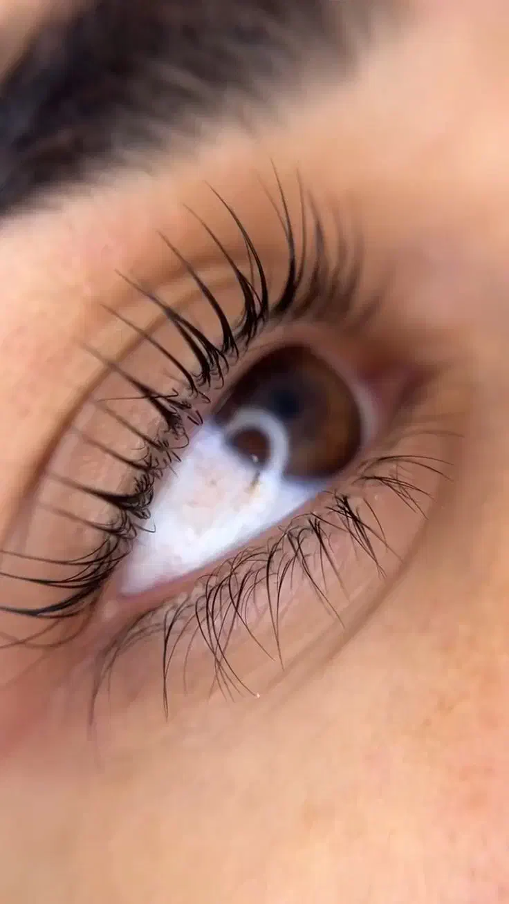 لیفت و لمینیت مژه|خدمات آموزشی|پرند, فاز ۵|دیوار