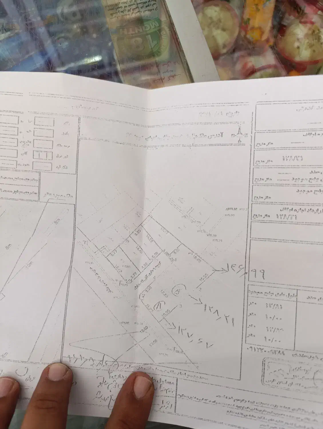 زمین شهرک امام حسن|فروش زمین و ملک کلنگی|شیراز, شهدای شهرک سعدی|دیوار