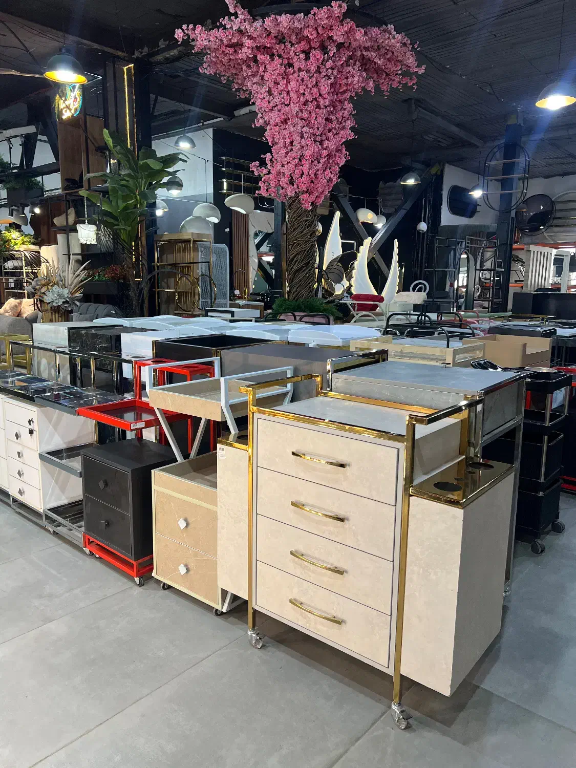 ترولی آرایشگاهی|آرایشگاه و سالن‌های زیبایی|کرج, گلدشت|دیوار