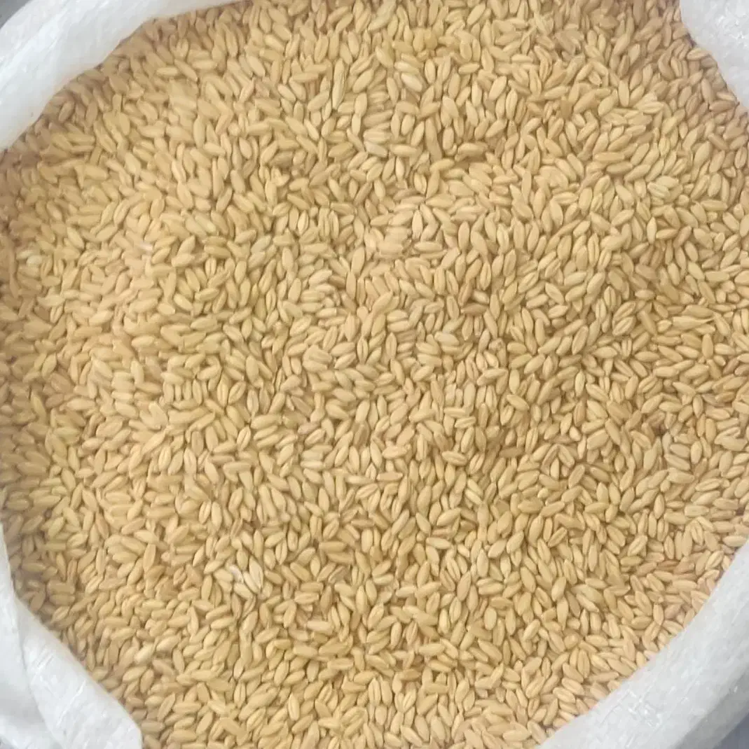 گندم|خوردنی و آشامیدنی|اهر, |دیوار