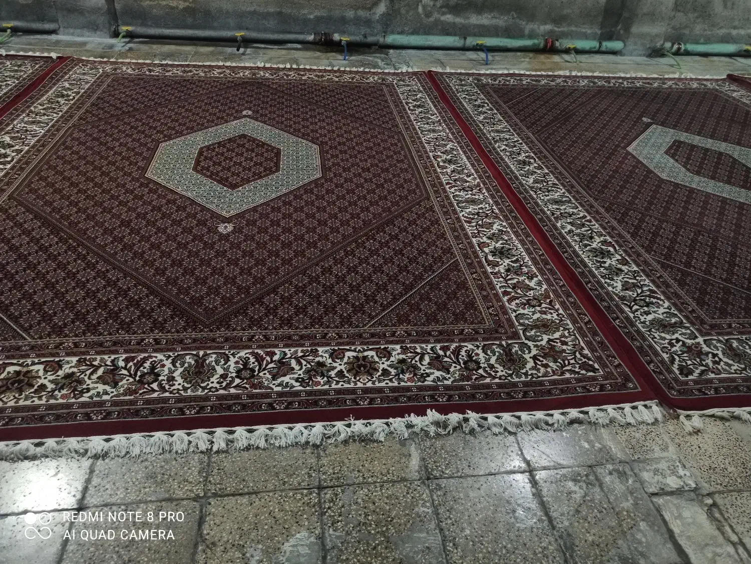 فرش ریزه ماهی|فرش|زنجان, |دیوار