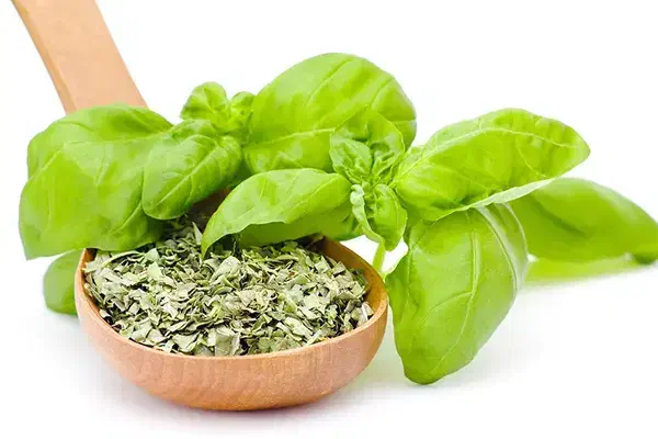 ریحان|خوردنی و آشامیدنی|قم, حاج خلیل|دیوار
