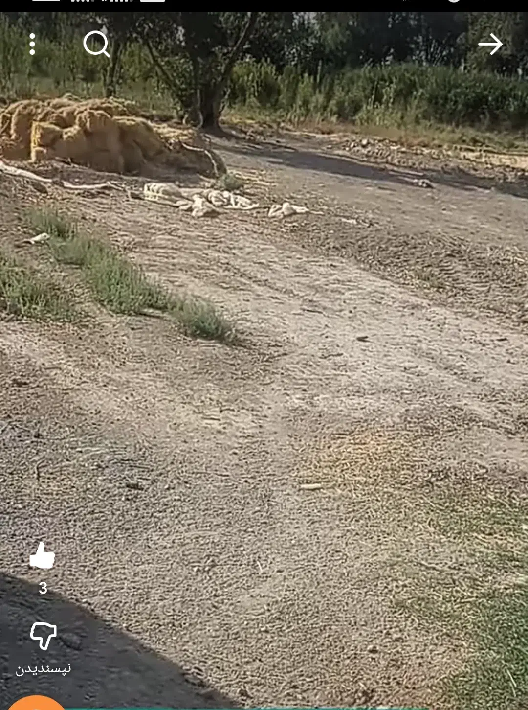 فروش زمین  برای ساخت ویلا|فروش زمین و ملک کلنگی|گلپایگان, |دیوار