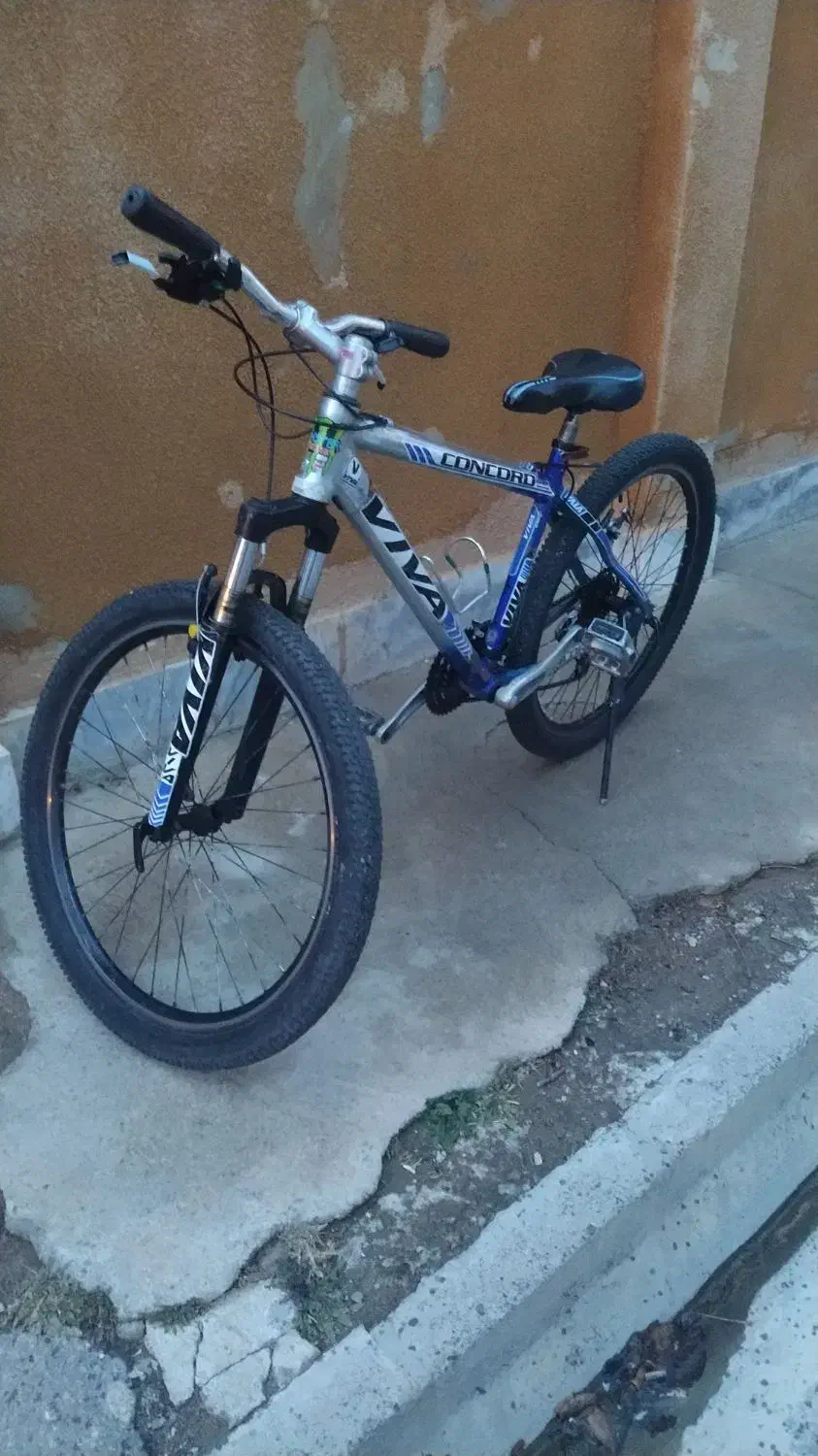 دوچرخه|دوچرخه، اسکیت، اسکوتر|قیدار, |دیوار