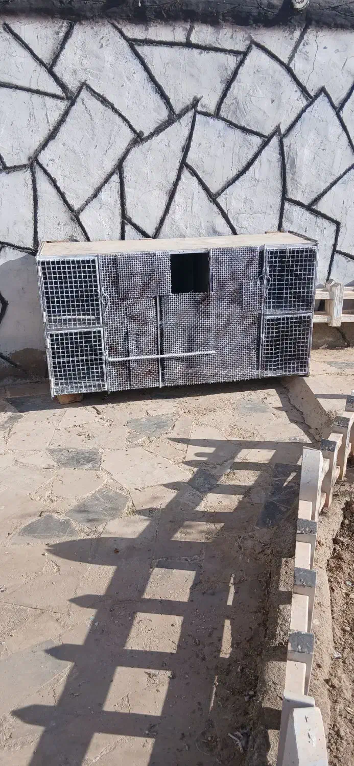 قفس کبوتر|لوازم جانبی حیوانات|اصفهان, کنگاز|دیوار