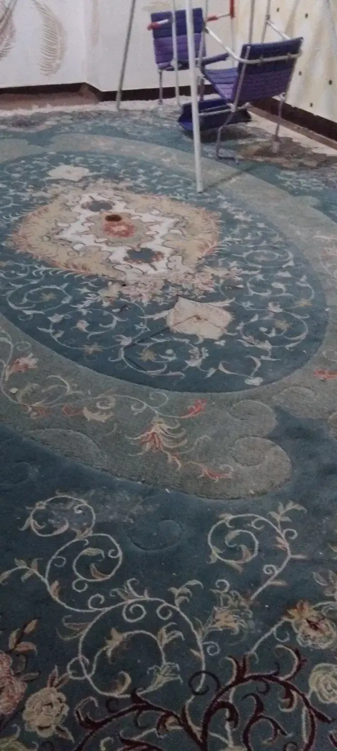 قالی|فرش|اهواز, شریعتی جنوبی|دیوار