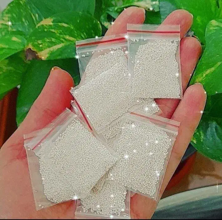 پودر شپش تضمینی|مواد شوینده و دستمال کاغذی|گلبهار, شهر جدید گلبهار|دیوار