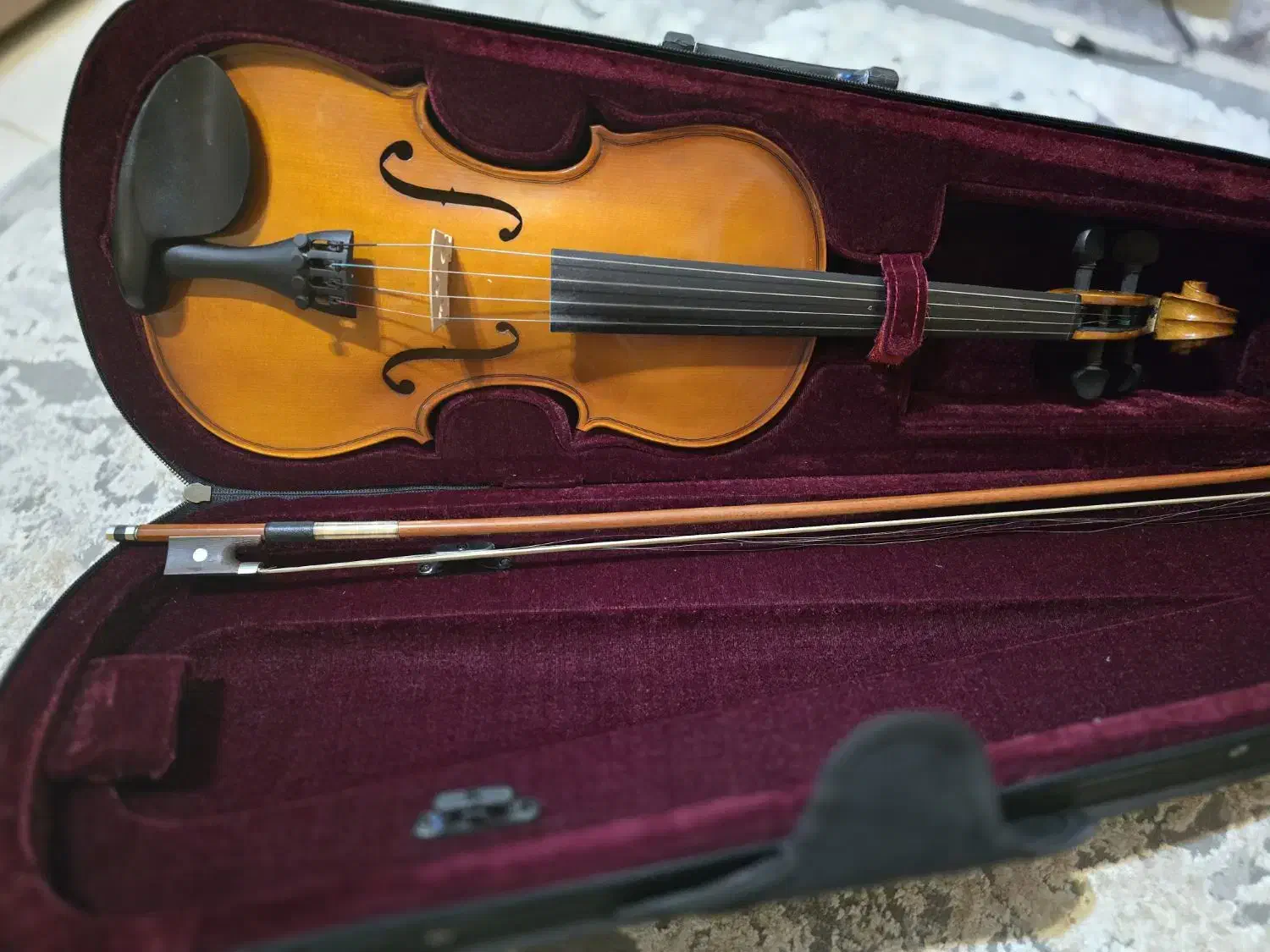 ویولن تمیز|ویولن|اصفهان, باغ نگاره|دیوار