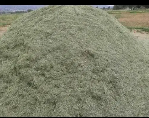 علف کوبیده شده یونجه|حیوانات مزرعه|اسفرورین, |دیوار