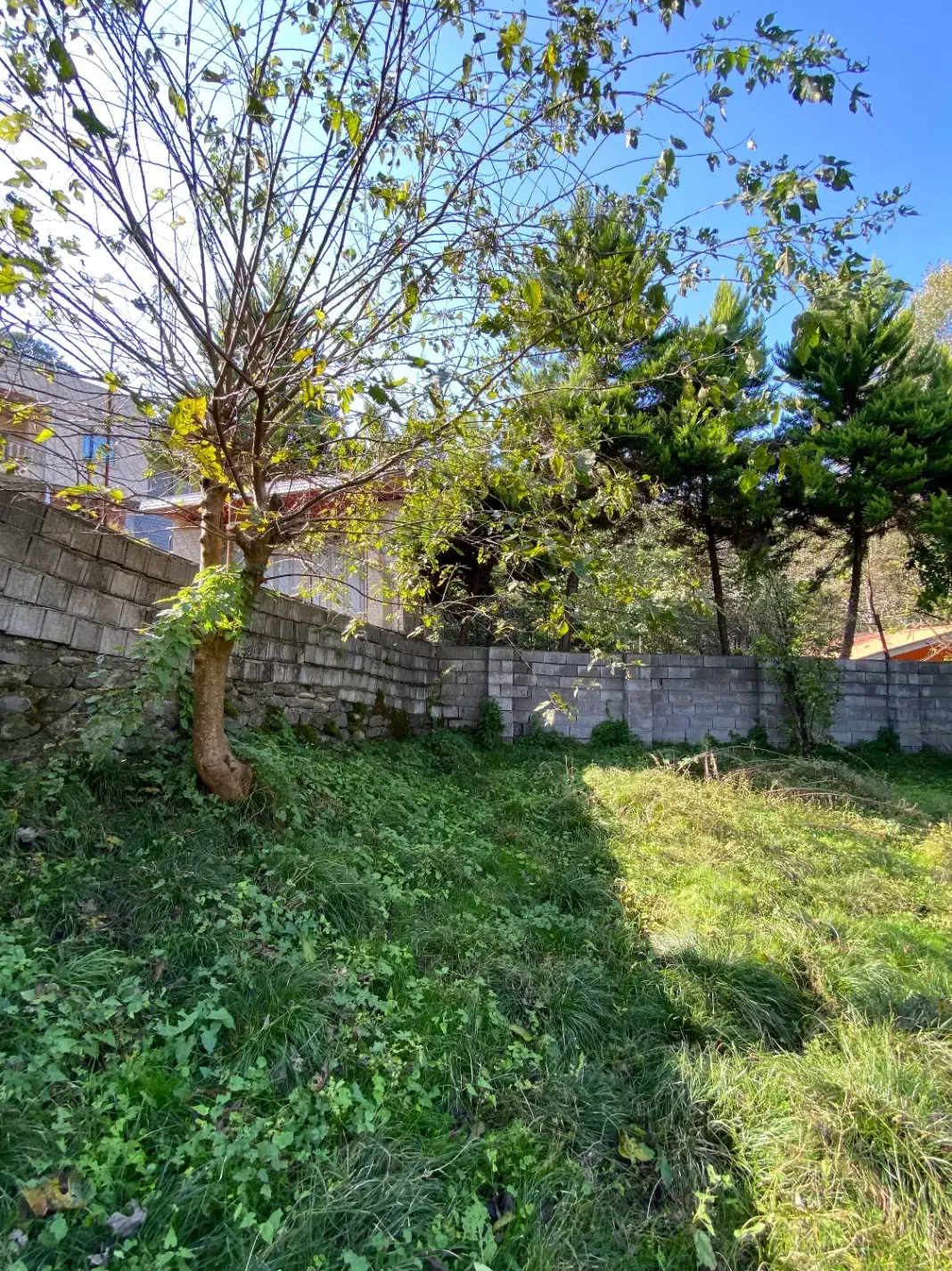 مسکونی در لفور|فروش زمین و ملک کلنگی|آلاشت, |دیوار