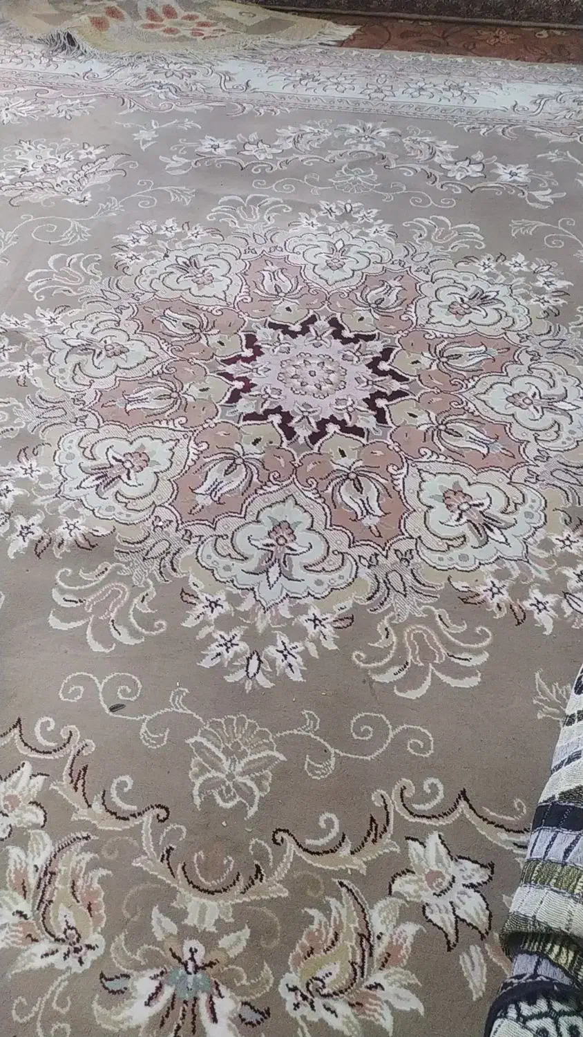 فرش نه متری گردویی ۲۷۰۰وکرم ۲۳۰۰|فرش|قم, چهل اختران|دیوار