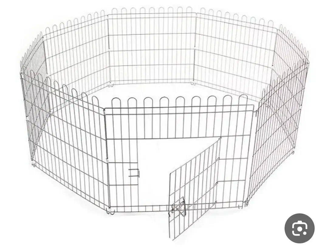 فروشی|لوازم جانبی حیوانات|ساری, |دیوار