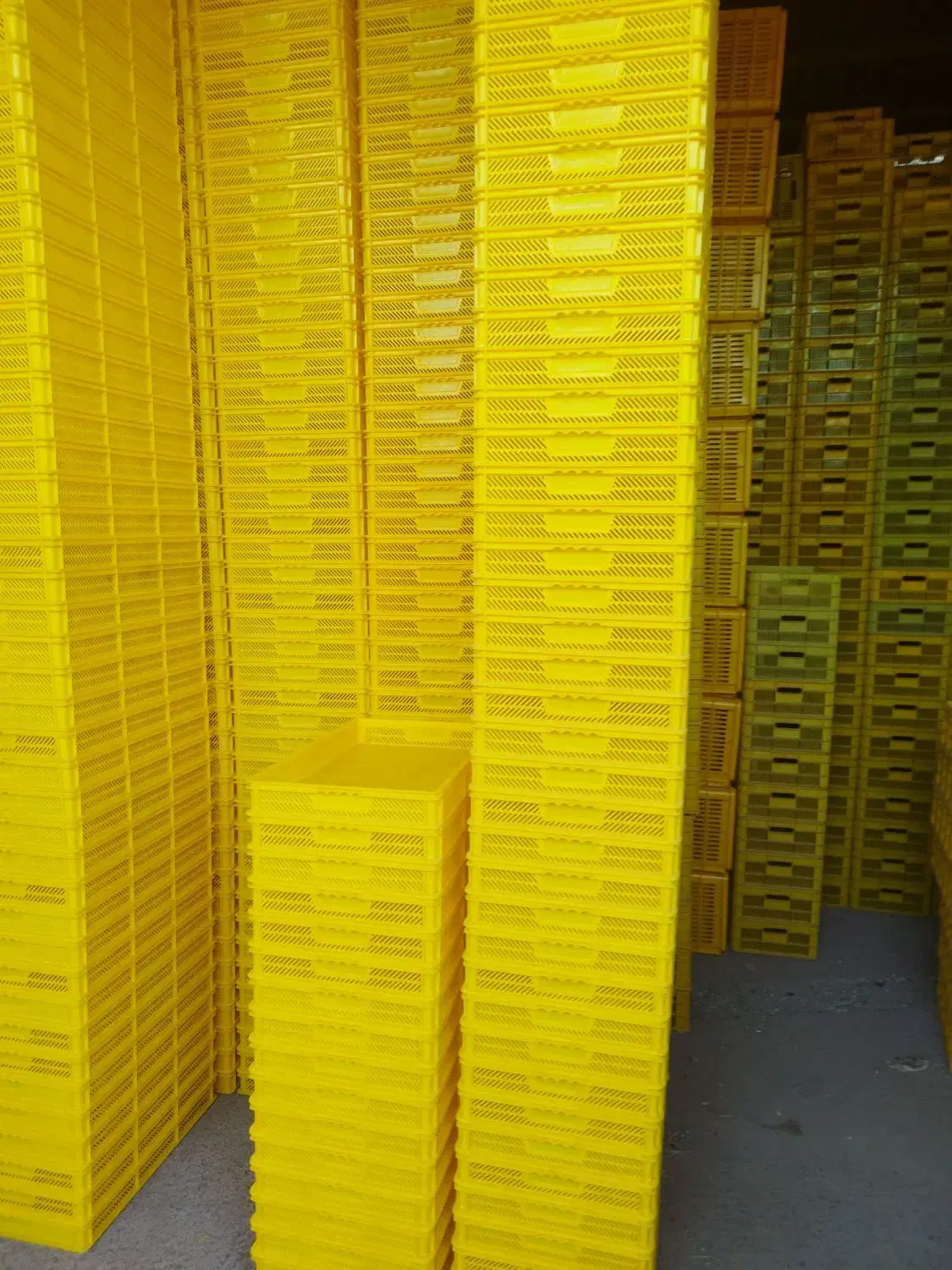 سبد ذغال ، سبد ماکارونی ، سبد دستگاه میوه خشک|عمدهفروشی|پاکدشت, پاکدشت (مامازند)|دیوار