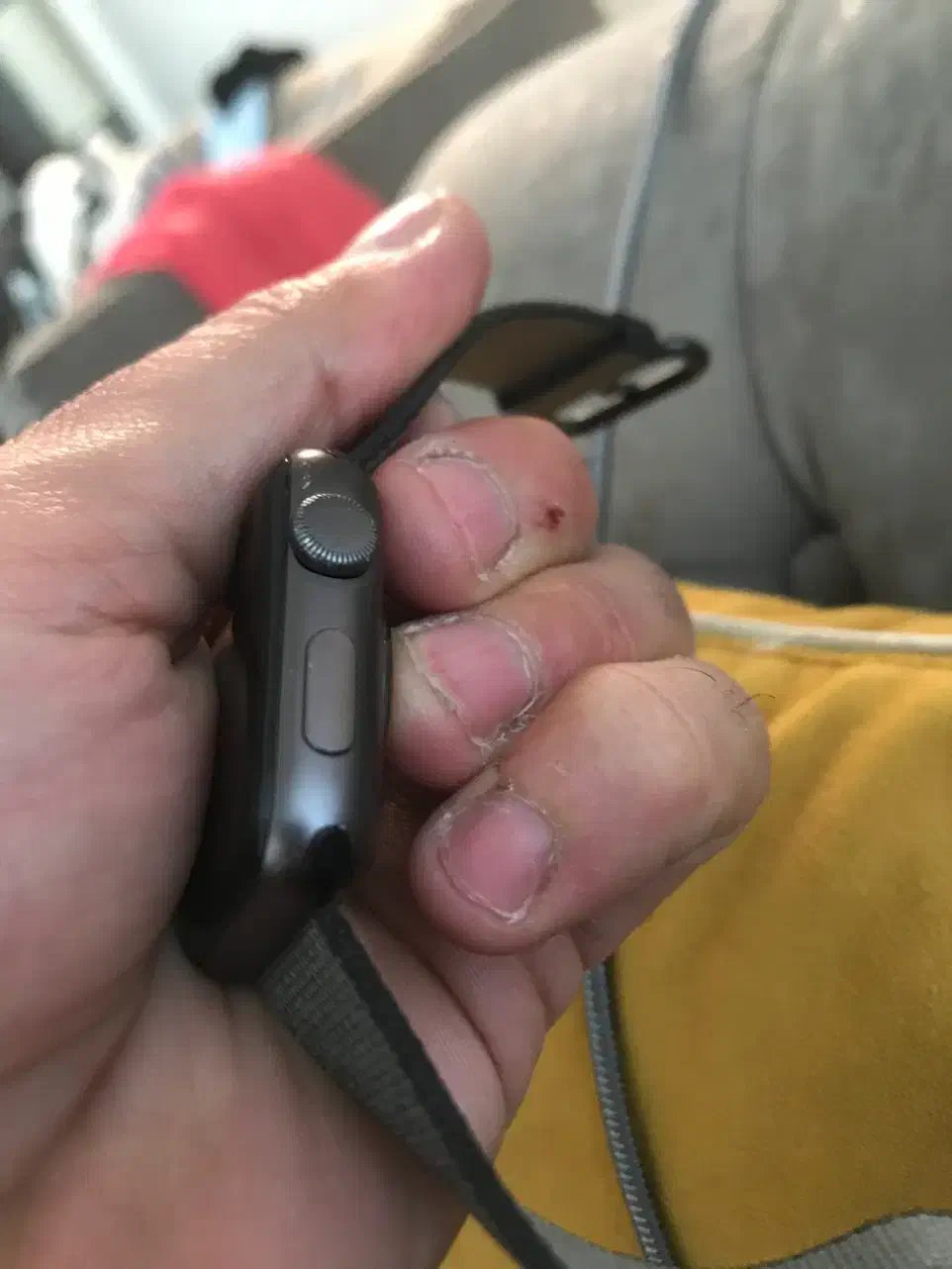 اپل واچ سری ۲ سایز ۴۲|لوازم جانبی موبایل و تبلت|یزد, |دیوار