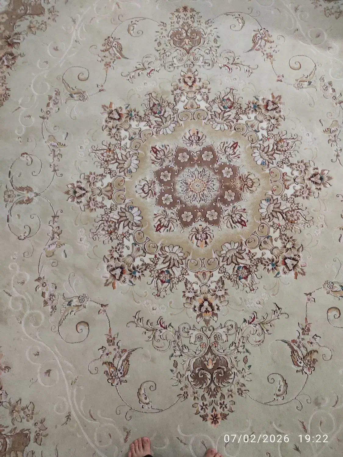 فرش|فرش|قزوین, |دیوار