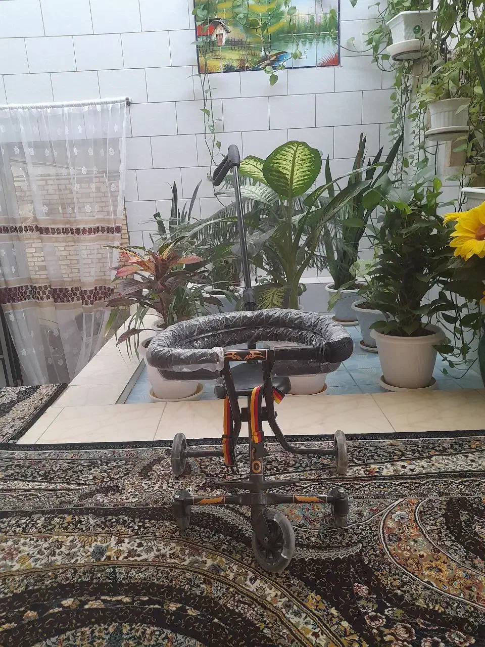 رانا|کالسکه و لوازم جانبی|بروجن, |دیوار