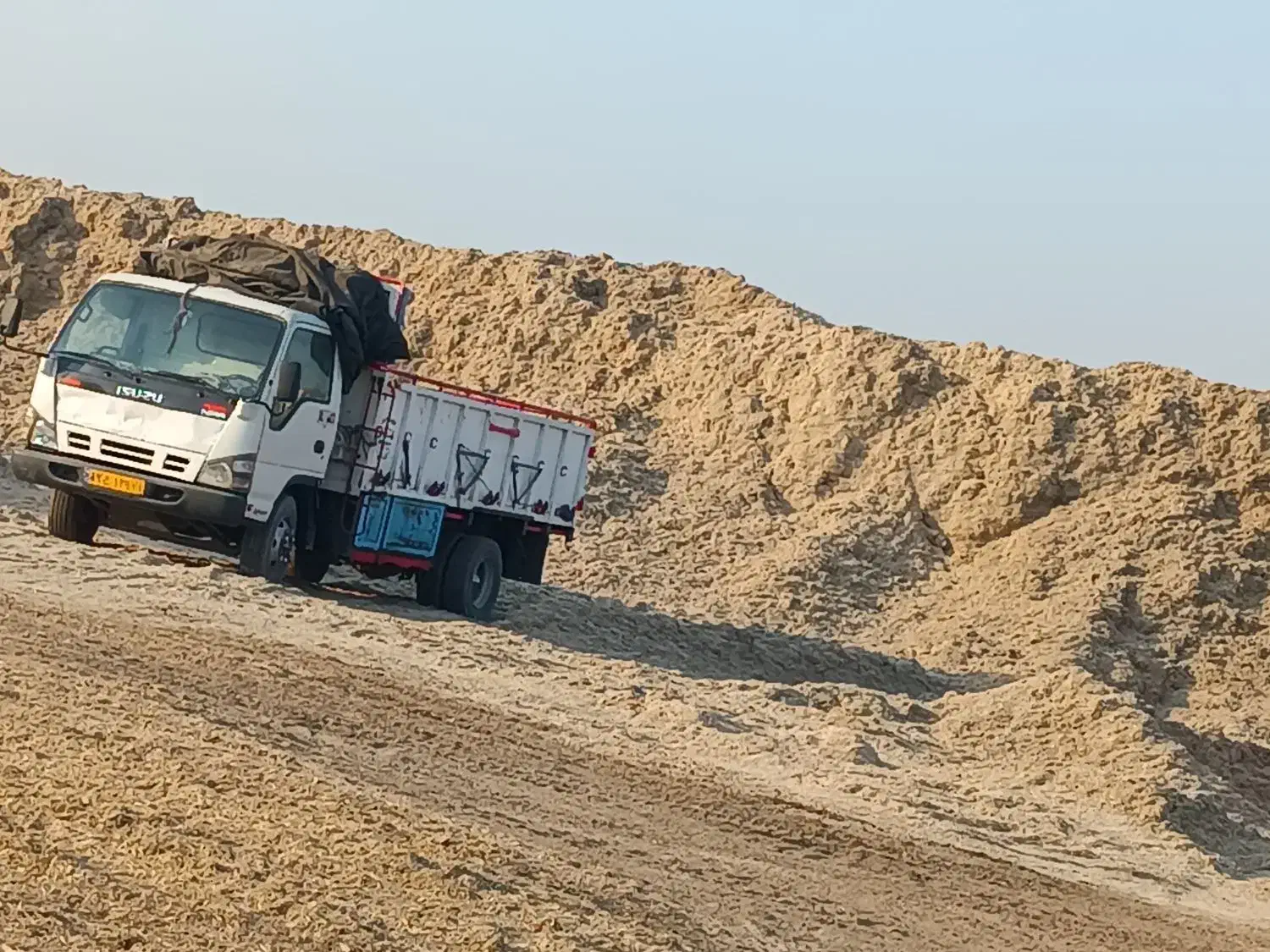 کاه نیشکر|عمده‌فروشی|کارون, |دیوار