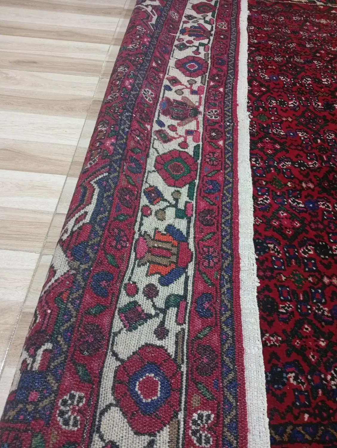 فروش ازندریان|فرش|همدان, |دیوار