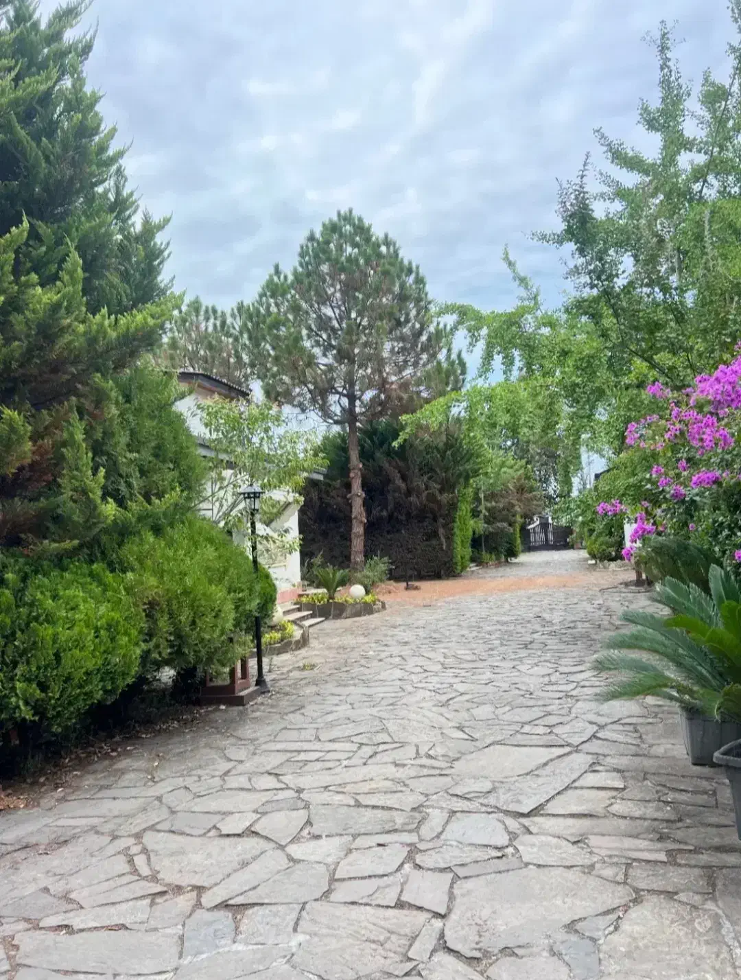 پیاده تا ساحل/نشتارود/شهرکی/سند تک برگ/شرایطی|فروش زمین و ملک کلنگی|عباس‌آباد, |دیوار