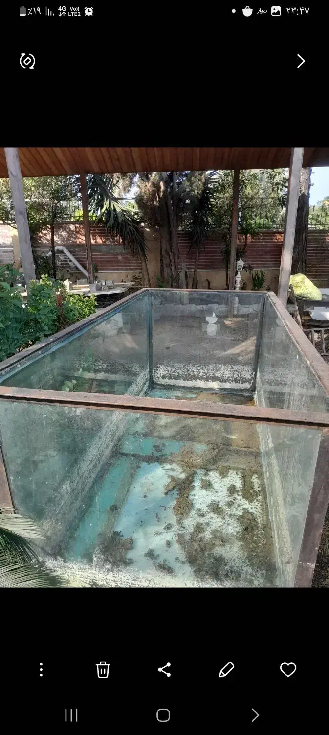 فروش آکواریوم|ماهی|چالوس, |دیوار