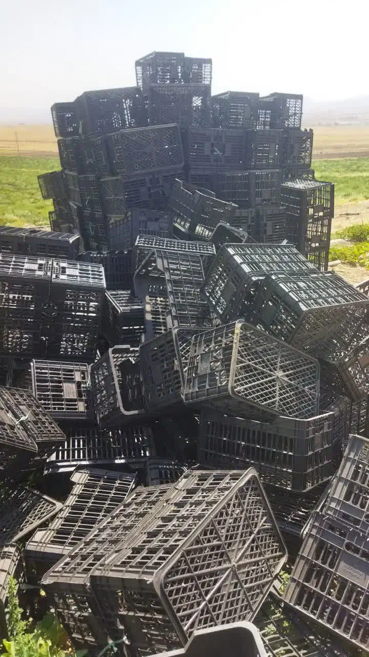 سبد ۲۲ کیلویی|عمدهفروشی|هلیلان, |دیوار