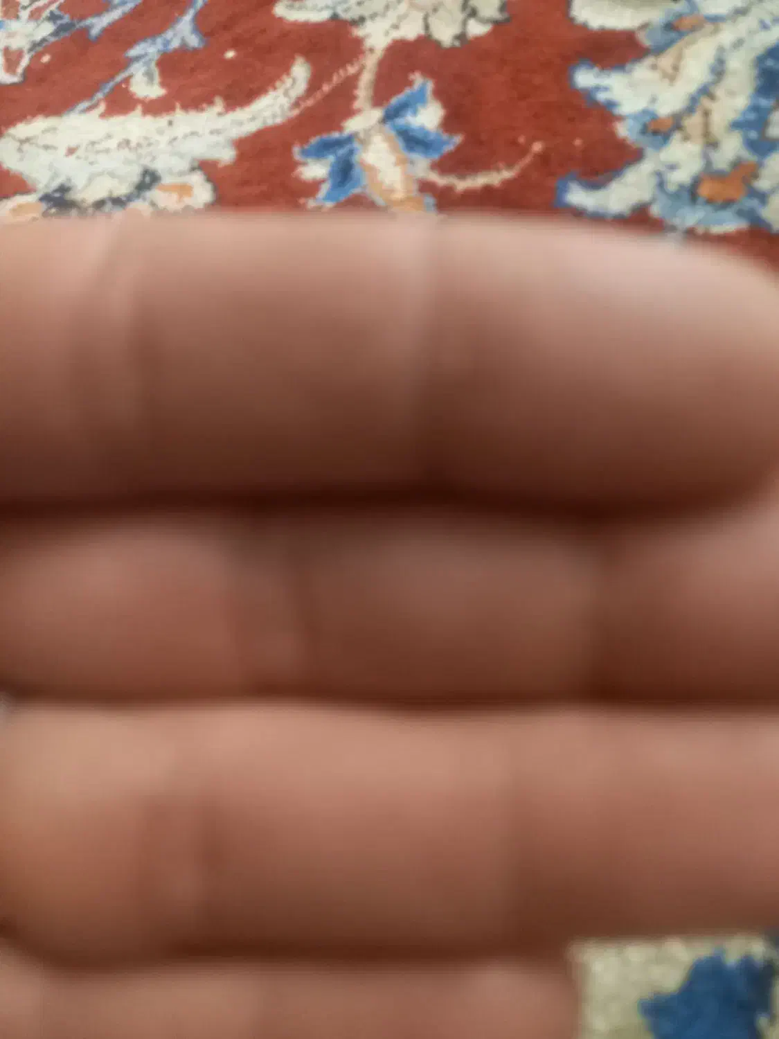 قالی دستباف|فرش|زرین دشت (فارس), |دیوار