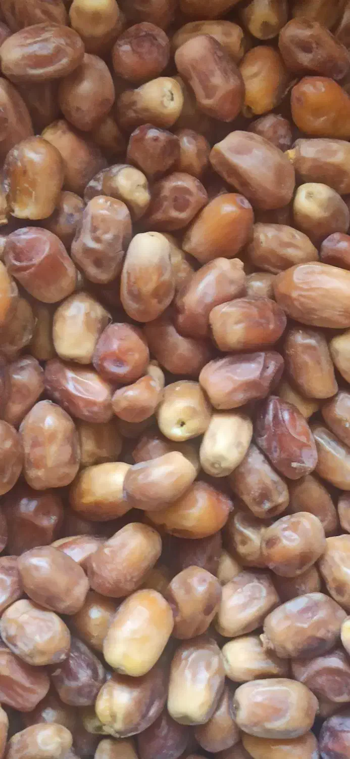 خرمای اصل کبکاب و قصب|خوردنی و آشامیدنی|آباده, |دیوار