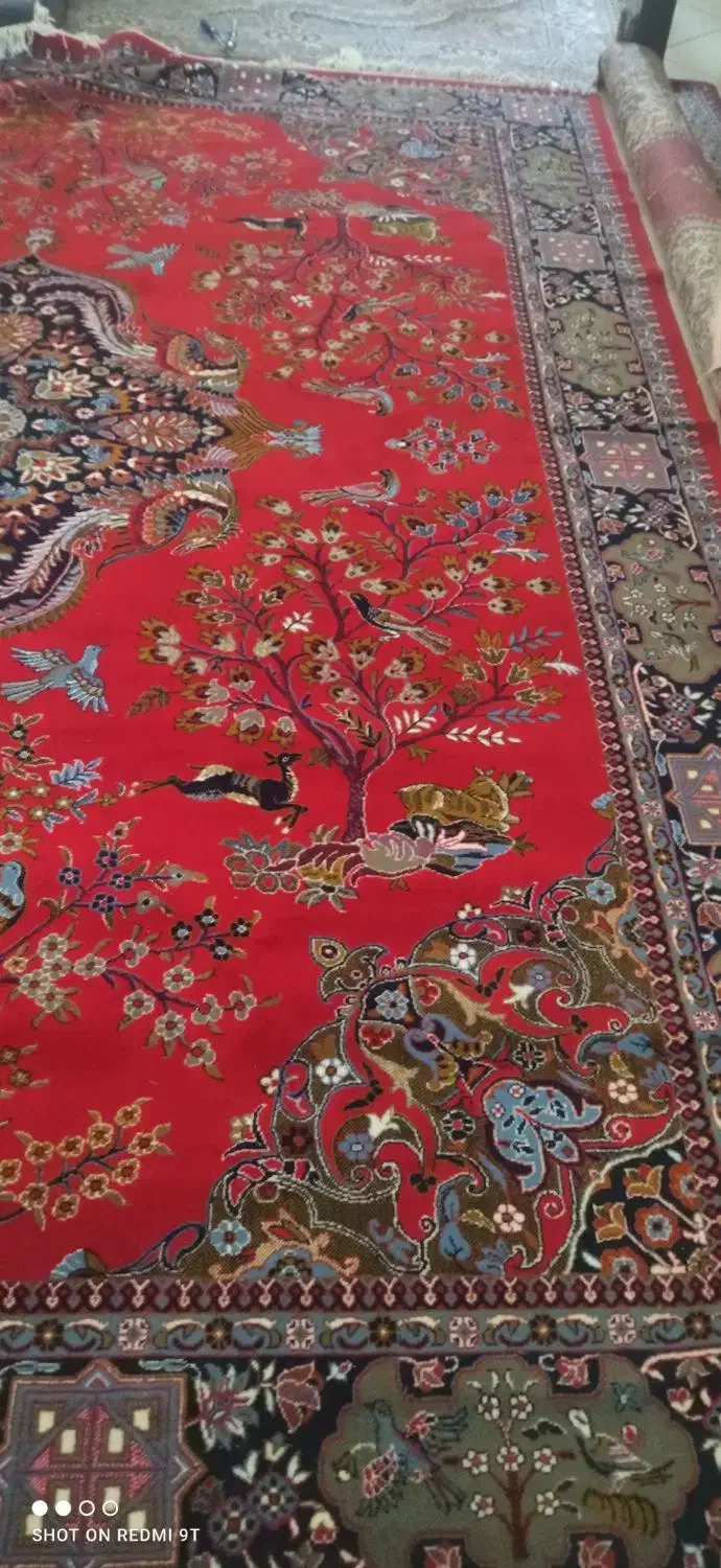 فرش|فرش|فشاپویه, |دیوار