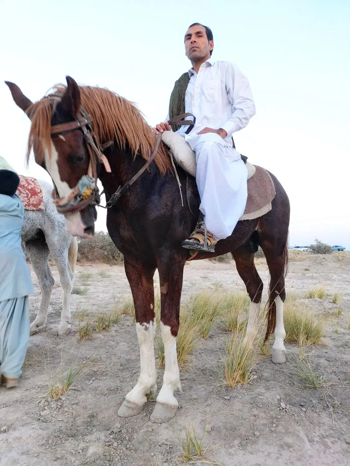 کرنک چهار قلم سفید یورقه|اسب و تجهیزات اسبسواری|ملکآباد, |دیوار