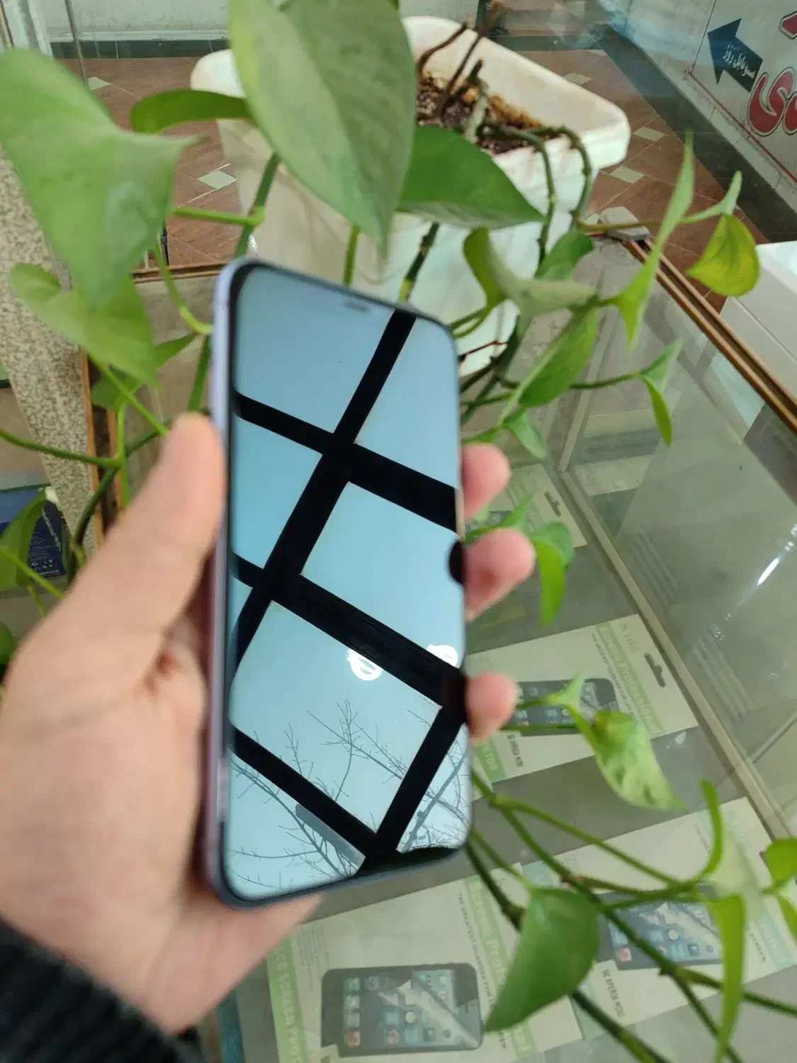 iphon 11|موبایل|جوانرود, |دیوار